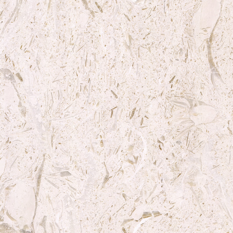 Moon Cream 