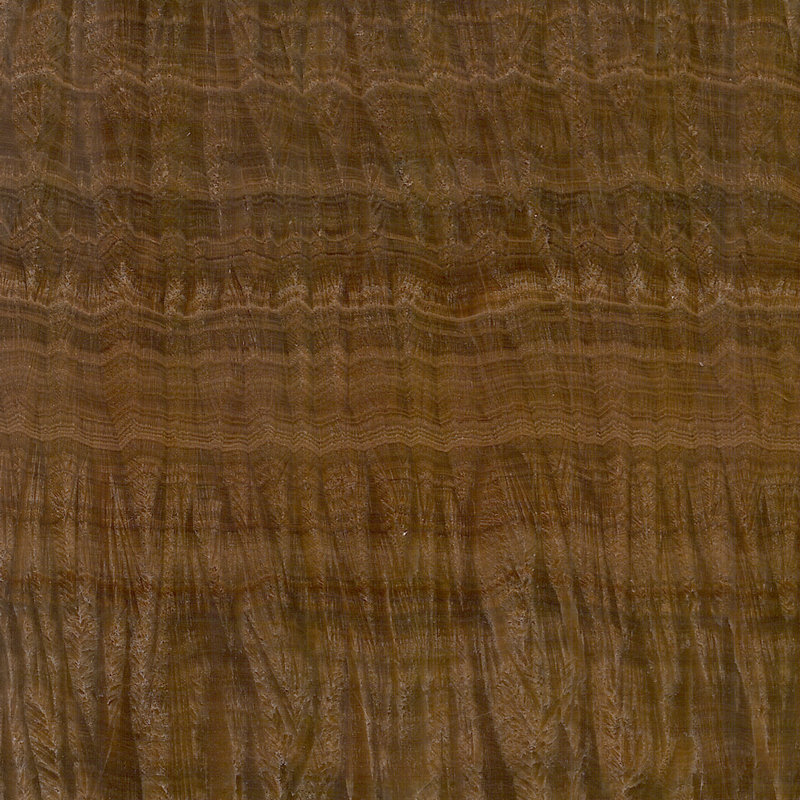 M095B Tiger Onyx